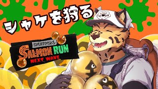 【サーモンランNW/ナダム】これで少しは増えるといいですね。ワイパーを持つ時間が【樫城槌/Vtuber】