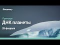 ДНК планеты | СКОРО ПРЕМЬЕРА | Discovery