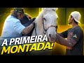 MONTANDO NO CAVALO ALADDIN PELA PRIMEIRA VEZ! | A CASA DOS BICHOS