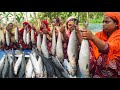 Huge Bata Fish Curry Recipe Cooking in Village - Sea Bata Fish Cutting & Eating with Villagers