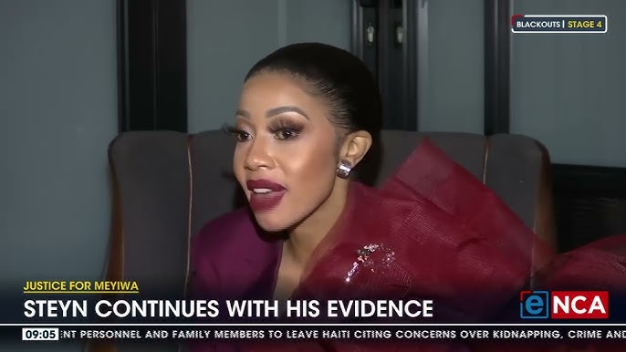 Justice For Meyiwa | Steyn continues with his evidence - YouTube