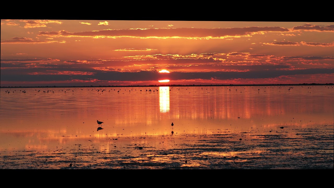 Flamingos and Sunset in Botswana Nata Bird Sanctuary