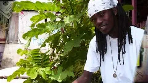 Zamunda - Root Reggae (Another Dollar Riddim 2013) *High Quality*