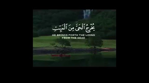 فسبحان الله حين تمسون وحين تصبحون❤💕🌷تلاوة هادئة تريح النفس 🎧ارح سمعك
