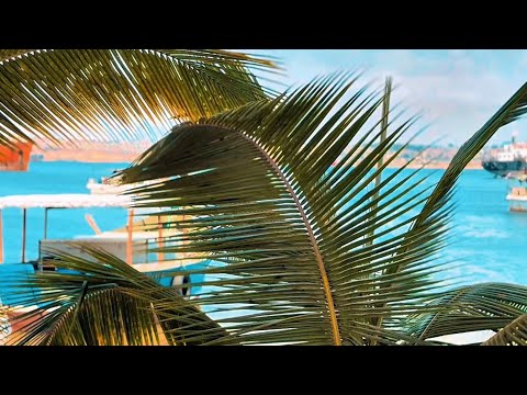 All Over (Emana, Dolce & @XDriphugo1224 ) [Visualizer]