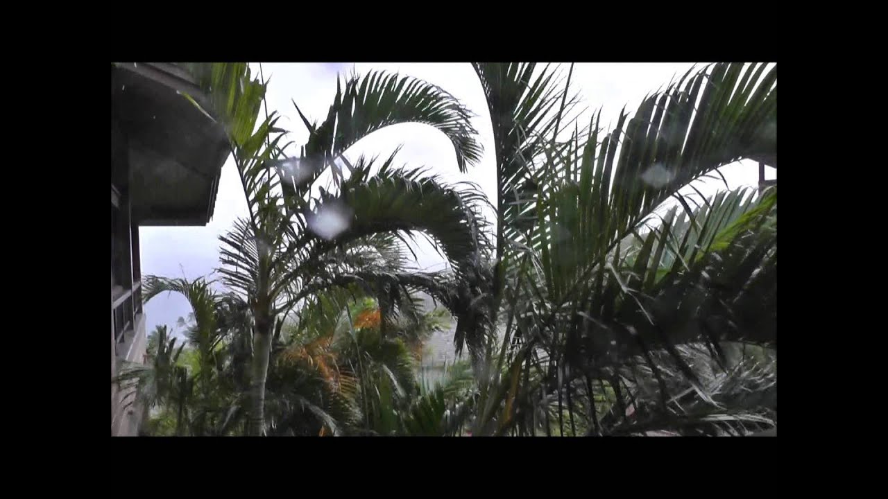 Hawaiian Adventure (Day of The Storm) Day 5