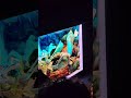 Machine Hallucinations: coral, NFT de Refik Anadol, en el Teatro Colón de Buenos Aires