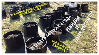 видео: Мой ОГОРОД в МЕШКАХ. Каркасные КАШПО. Ревизия на пятый год. Академия САДОВОДА-МЕШОЧНИКА. Встреча 20. картинка: Мой ОГОРОД в МЕШКАХ. Каркасные КАШПО. Ревизия на пятый год. Академия САДОВОДА-МЕШОЧНИКА. Встреча 20.