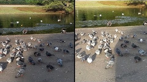 iPhone 5 vs Samsung Galaxy S3 HD Video Test Comparison