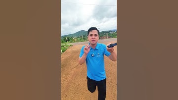 ĐẤT SIÊU ĐẸP GẦN SÂN BAY LIÊN KHƯƠNG – GIÁ CHỈ 950 TRIỆU! 🌟 #bandatdalat #muabandatgiare #cuocsong