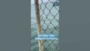 Container Ships Processing Berth #container #containership #shortvideo #youtubeshorts #amazing