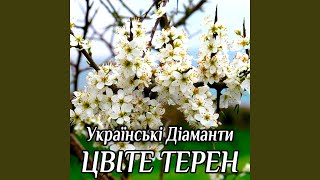 Цвіте терен