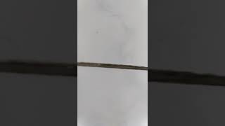 Bfdi Characters Size Comparison