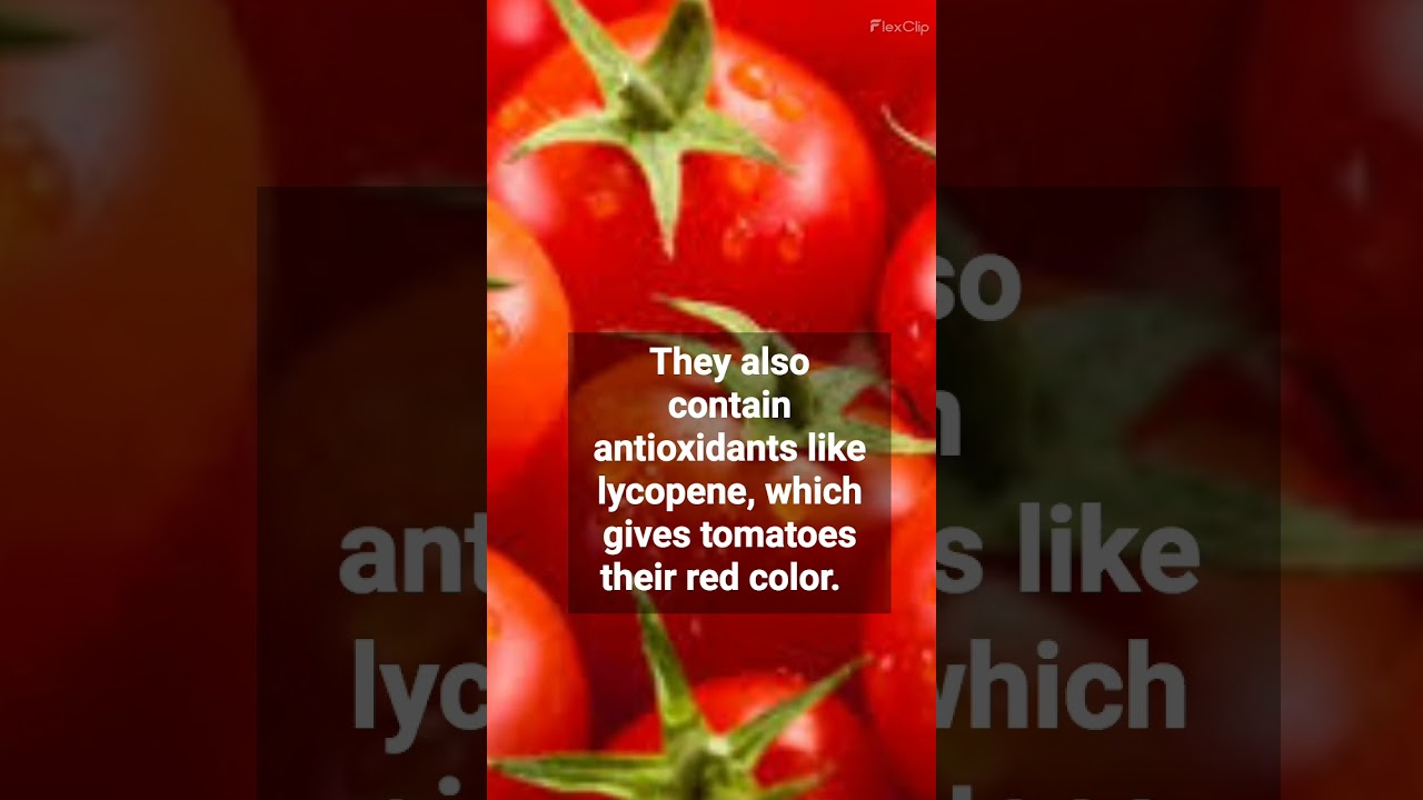 Tomato Health Benefits II Facts