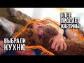 Выбрали кухню / Глеб художник / Подъём в 5:35! / 16.05.19