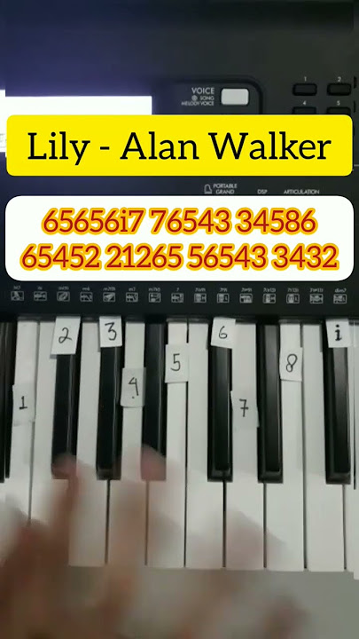 Lily - Alan Walker (Piano Tutorial) #tiktok #shorts #fyp #music