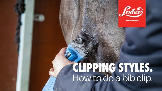 R15 Clear Clipper Oil  Lister Shearing, Equine Clipping Specialists
