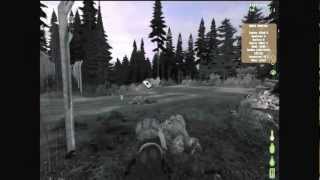 Dayz - Troll Bunny