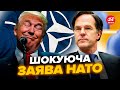 😮У НАТО на вухах! Рютте зробив НЕСПОДІВАНУ ЗАЯВУ про Трампа, ОШЕЛЕШИВ усіх