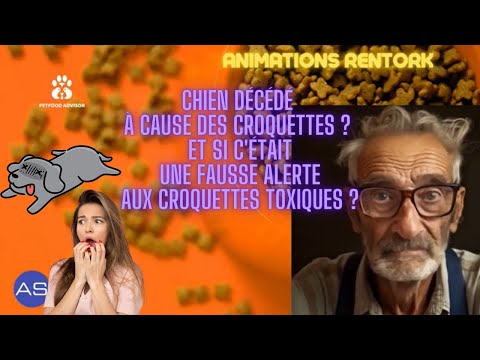 Chien décédé à cause des croquettes ? Et si c'était une fausse alerte aux croquettes toxiques ?