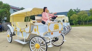 My electric horse carriage driving #chariot #horsechariot #horsedrawncarriage #carriagehorse 
