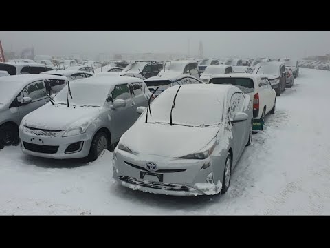 авторынок зелёный угол. авторынок зелёный угол 2022. зеленый угол январь 2024. авторынок зелёный угол. зеленый угол владивосток 2020.