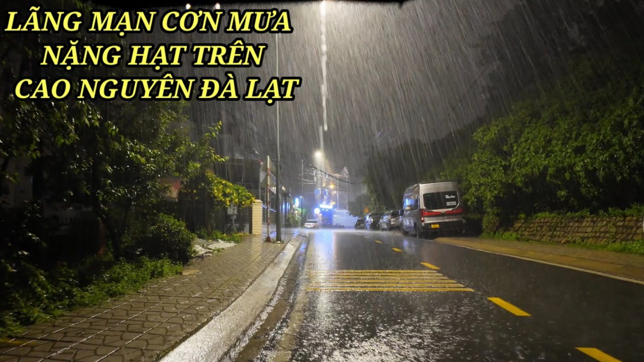 Lãng mạn Cơn mưa nặng hạt mát lạnh trên cao nguyên Đà Lạt