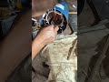 1 hp CG 230 VOLT 1440 RPM electric motor winding l how the alternators works l electric motor l