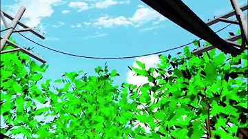 Animation 1/3D Assignment 2