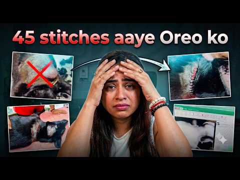 45 Stitches aaye Oreo ko