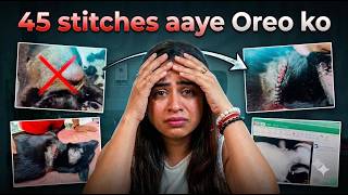 45 Stitches aaye Oreo ko