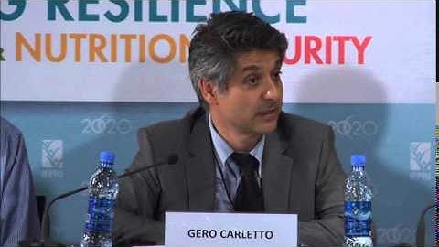 Side Event - Gero Carletto on Components of a Measurement Framework for Resilience (2)