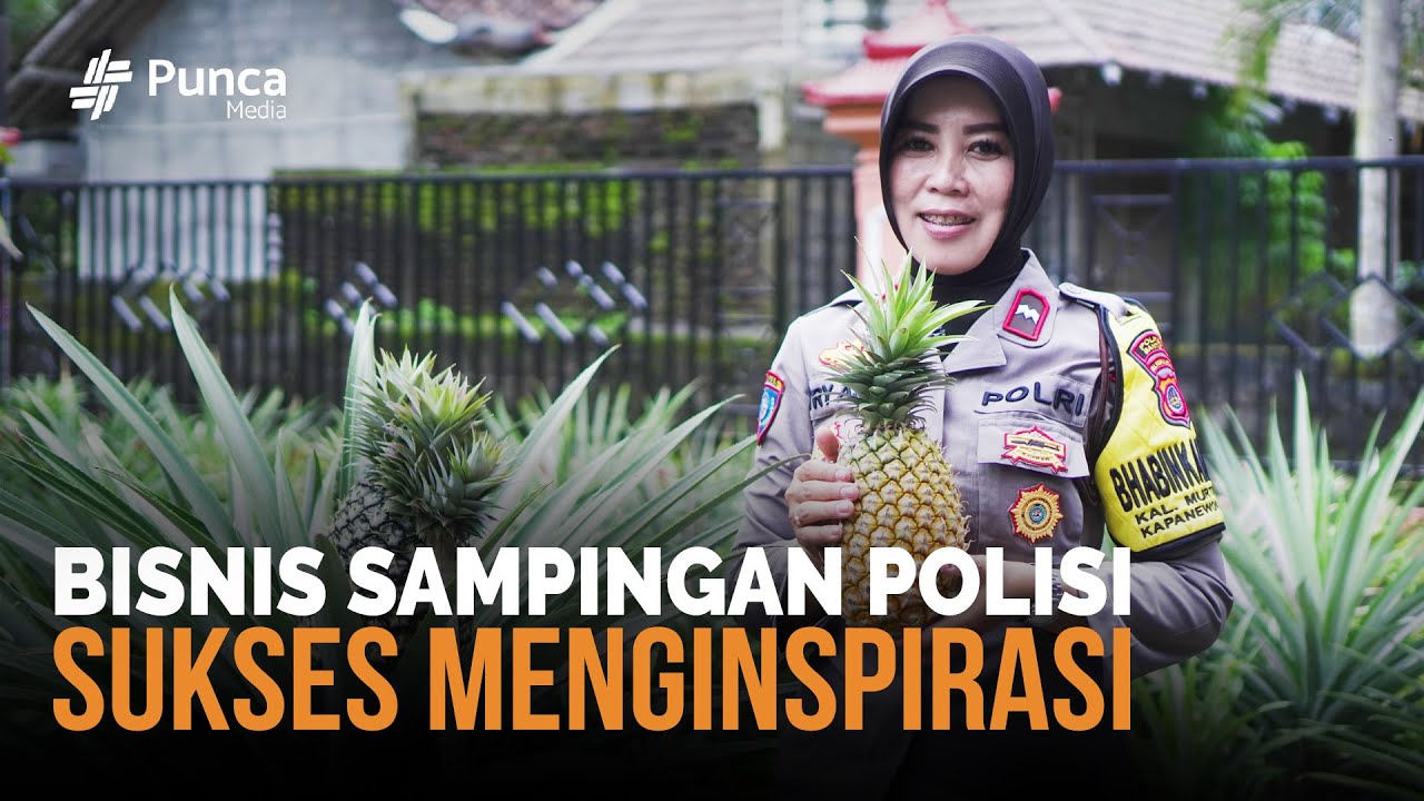 NANAS BAGONG MILIK BHABINKATIBMAS CAPAI BERAT 5 KG! CUAN UNTUK BISNIS SAMPINGAN!