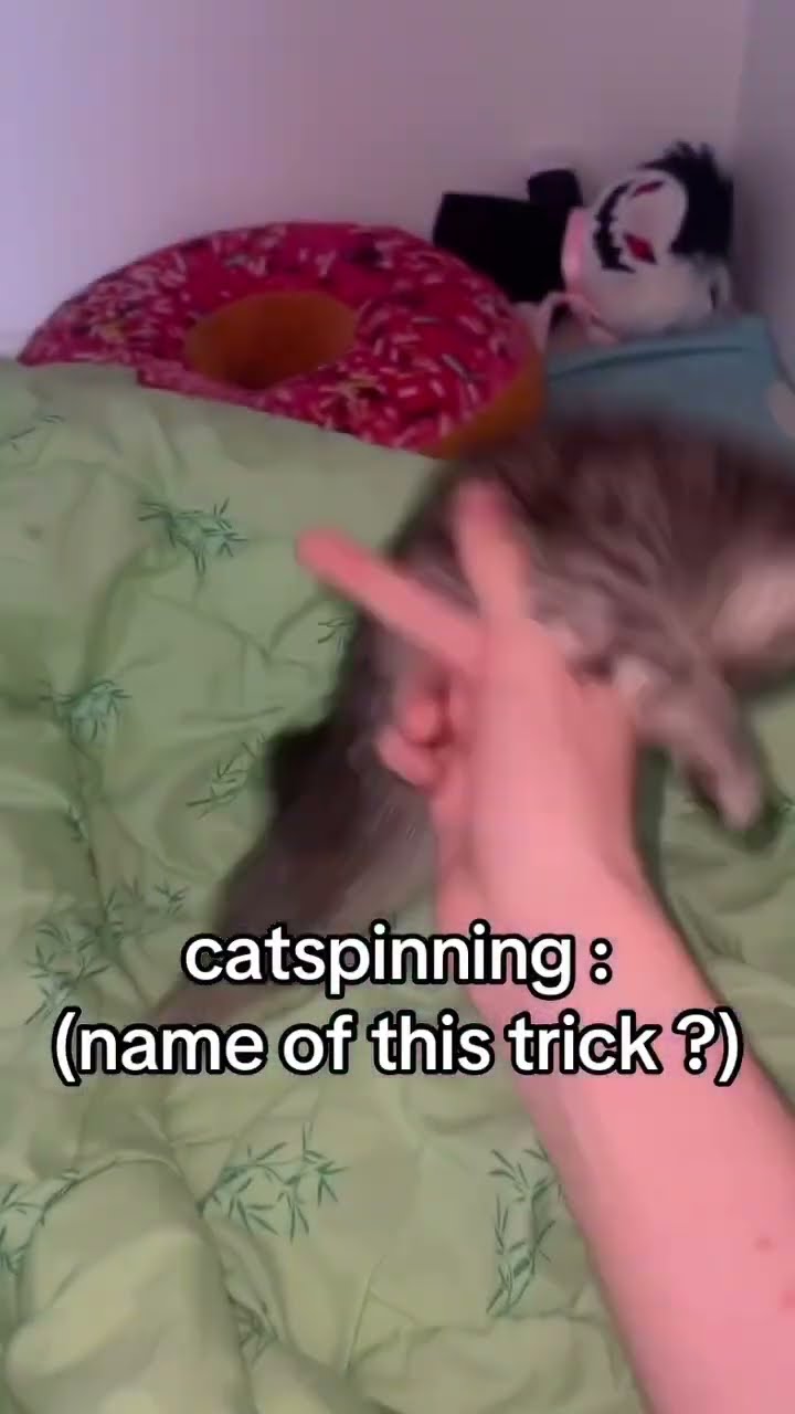 Bro spinning the Kittyo like ahhh mane that’s what I love