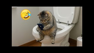 55. Hilarious Furry Frenzy 2025