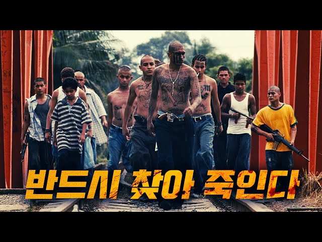 갱단이 장악한 나라의 막장현실을 보여주는 역대급 리얼리즘 영화 (결말포함)