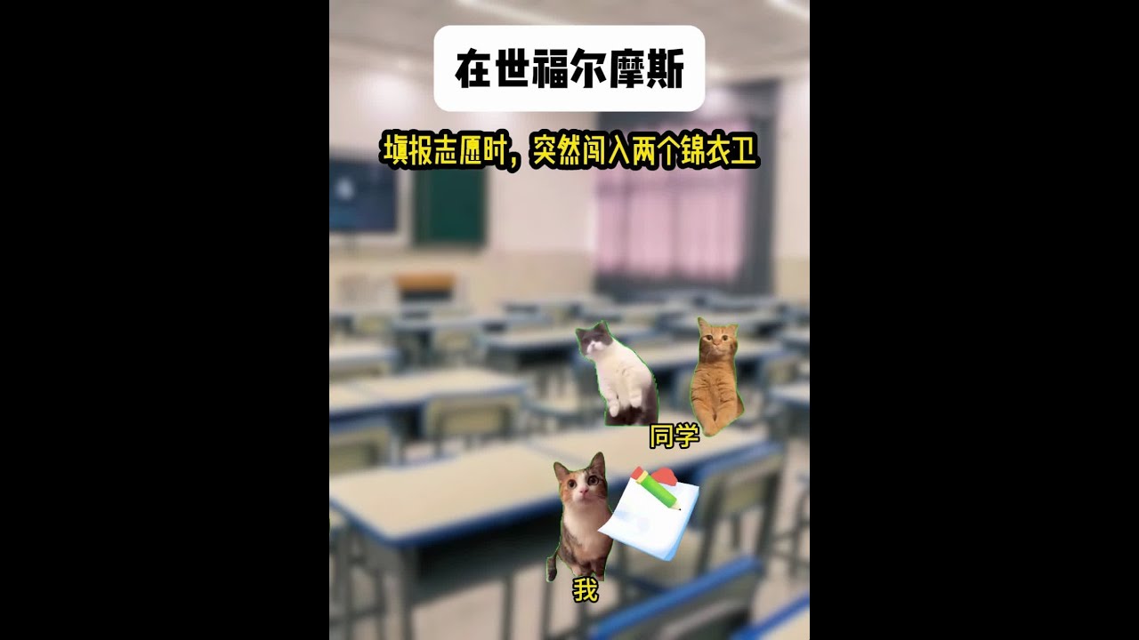 《北野决斗》 #猫meme #猫meme小剧场