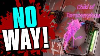 TERRAMORPHOUS RETURNS?!