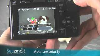 Panasonic GF1: Aperture Priority Guide