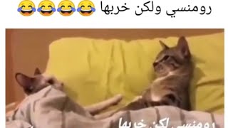 سلسلة تحدي الضحك مع تك توك العرب(Laughter challenge with Arab Tik Tok )#1