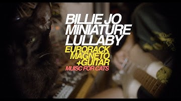 MUSIC FOR CATS [ Eurorack and guitar ] / strymon MAGNETO + Mutable BEADS + Instruo Saïch