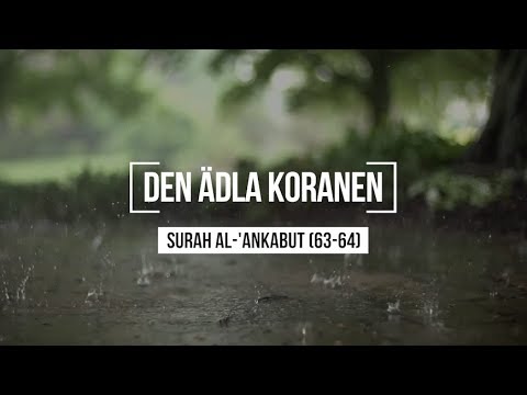 Surah Al-Ankabut (63-64) - Abdul Rahman Mosad