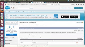 Mass Update Records using Visual Flow in Salesforce