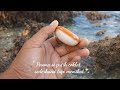 Pesona si putih coklat yang memikat