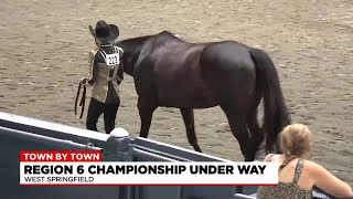 Town by Town: Rays of Hope donation, car seat installations, horse competition