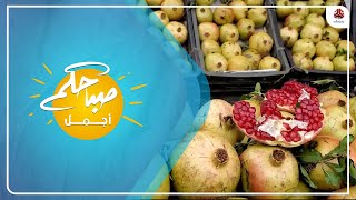 الرمان اليمني... أقدم الفواكه وأجودها عربيا
