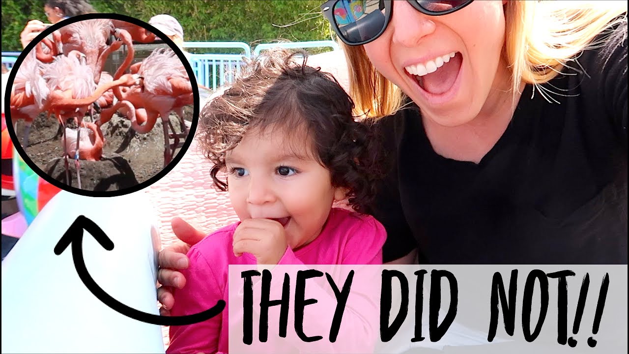 SHE DID SO WELL YouTube