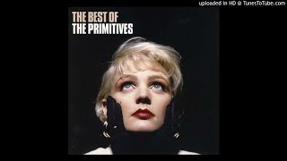 The Primitives - Summer Rain
