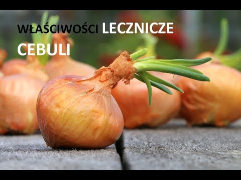 Wideo: Właściwości Lecznicze Różnych Cebuli