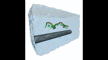 Self-assembly of a Carbon-nanotube DNA hybrid.